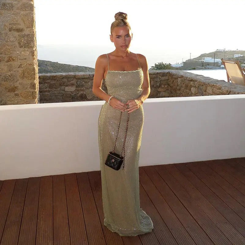 ERNE MAXI DRESS