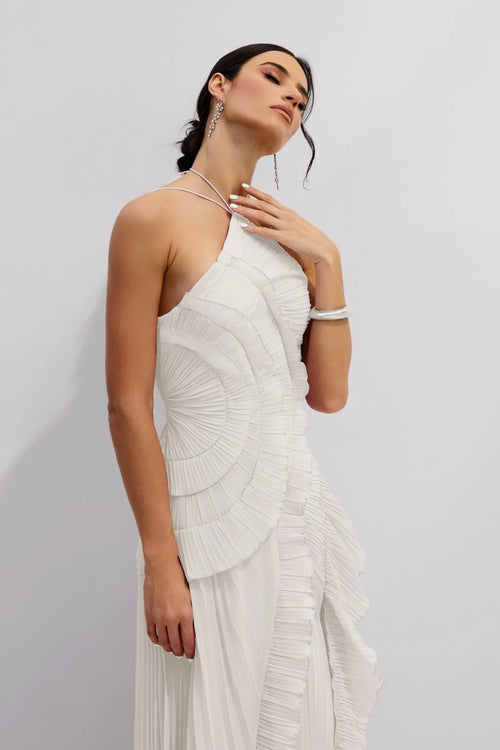 ARIA PLEATED MAXI DRESS