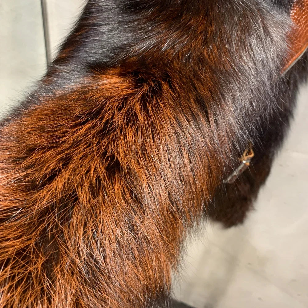Women Leather Jacket Fur Sleeve Lady Jackets Leather Fur Fox Sleeve Ladies Biker Jacket Leather with Real Fur Sleeve 952-36